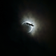Illustration for article titled Japan Shows the Beauty (and the Craziness) of the Solar Eclipse